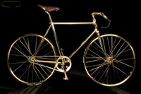 Crystallized Bicycles Image 5