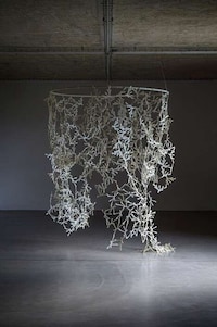 Scented Wall Dividers Image 1
