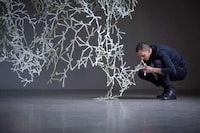 Scented Wall Dividers Image 2