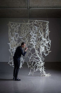 Scented Wall Dividers Image 4