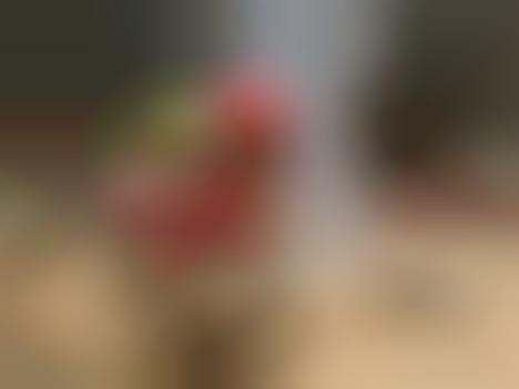 Iconic Furniture Reimaginations