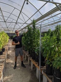 Interactive Cannabis Colleges Image 3