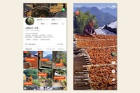 Farmer-Run Live Commerce Events Image 3