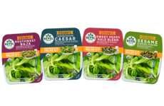 Greenhouse-Grown Salad Kits