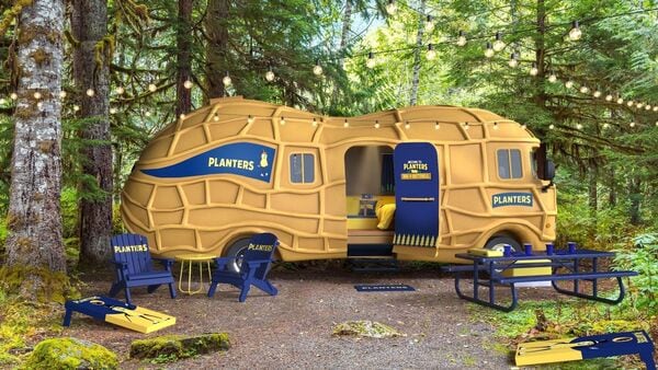 Peanut-Themed Nature Retreats