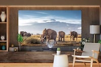4K Triple-Laser Projectors Image 5