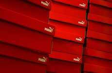 Sustainable Shoe Boxes