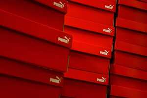 Sustainable Shoe Boxes