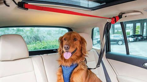 Backseat Canine Securement Lines