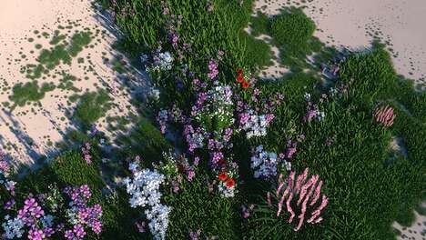 Blossoming AR Carpets