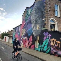 Dublin Electric Cargo Initiatives Image 4