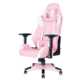 Female-Targeted Gaming Chairs Image 1