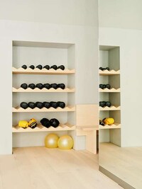 Neuroscience-Informed Gyms Image 1
