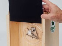 Educational Arachnid Habitats Image 6