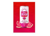 Ready-to-Drink Low-Calorie Cocktails Image 3