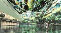 Immersive Rainforest Installations