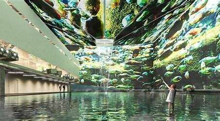 Immersive Rainforest Installations