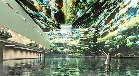 Immersive Rainforest Installations
