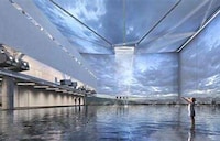 Immersive Rainforest Installations Image 3