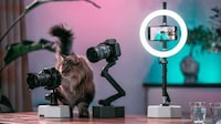 AI-Powered Camera Mounts