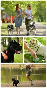 Contactless Dog Waste Cleaners Image 3