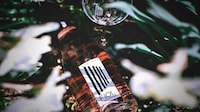 Sophisticated Everyday Proseccos