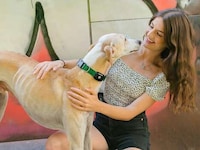 Multifunctional Pet Trackers Image 2