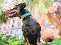 Multifunctional Pet Trackers Image 4