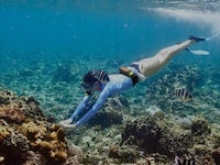 Compact Aquatic Diver Tanks Image 3
