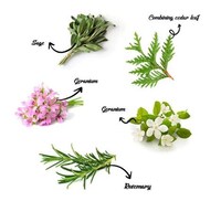 Three-in-One Aroma Diffusers Image 3