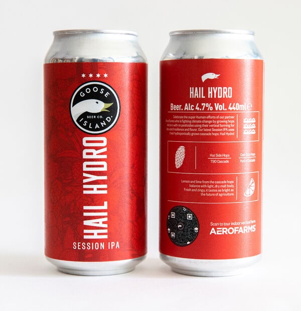 Hydroponic Hops Beers