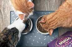 Insect-Based Cat Foods