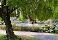 Packable Portable Park Swings
