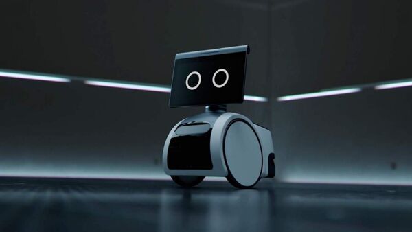 Roving Home Security Robots