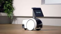 Roving Home Security Robots Image 2