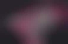 Celebratory False Lash Collections