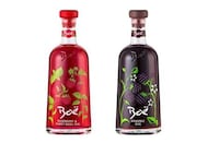 Scottish Garden-Inspired Flavored Gins