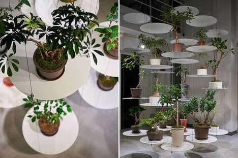 Suspended Display Plant Shops