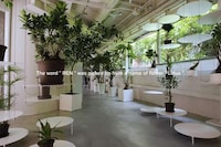 Suspended Display Plant Shops Image 2