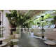 Suspended Display Plant Shops Image 2