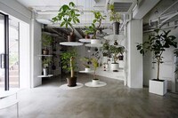 Suspended Display Plant Shops Image 5