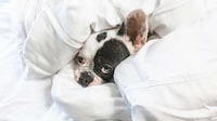 Temperature-Regulating Bed Sheets Image 6