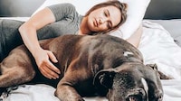 Temperature-Regulating Bed Sheets Image 8