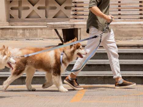 Springy Hands-Free Dog Leashes