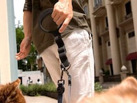 Springy Hands-Free Dog Leashes Image 4