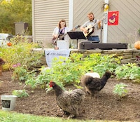 Chicken Coop Concerts Image 1