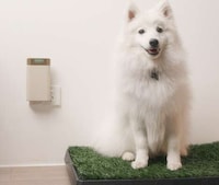 Travel-Friendly Air Purifiers Image 4