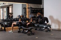 Publicly Accessible Altitude Gyms Image 4