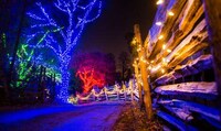 Multi-Sensory Holiday Drive-Throughs Image 2