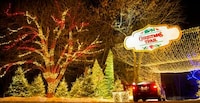 Multi-Sensory Holiday Drive-Throughs Image 5